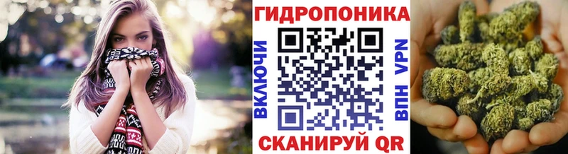 Каннабис MAZAR  Северская 